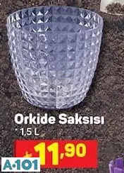 ORKİDE SAKSISI ORKİDE SAKSISI